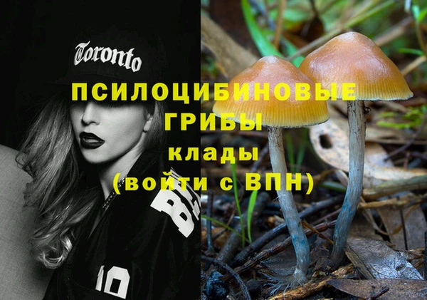 PSILOCYBIN Бородино