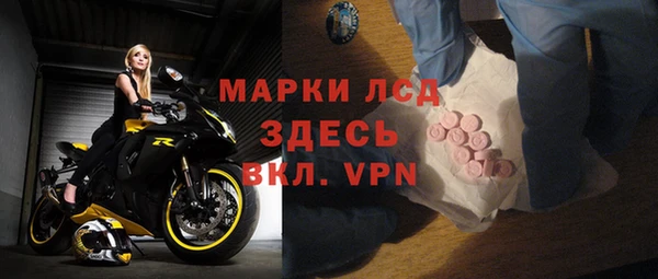 PSILOCYBIN Бородино