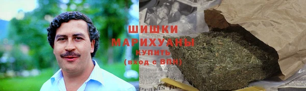 PSILOCYBIN Бородино