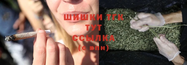 PSILOCYBIN Бородино