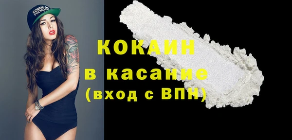 СК Бронницы