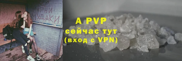 PSILOCYBIN Бородино