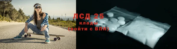 PSILOCYBIN Бородино