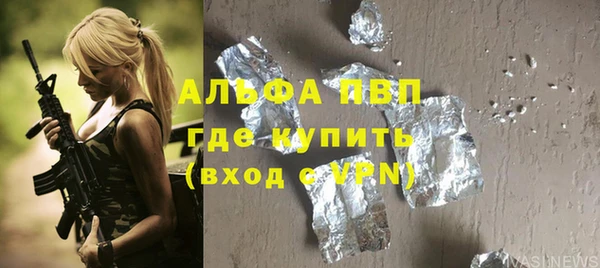 СК Бронницы