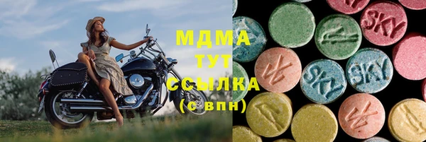 PSILOCYBIN Бородино
