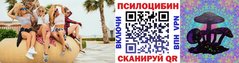 Купить  Дигора  Псилоцибиновые грибы Cubensis 